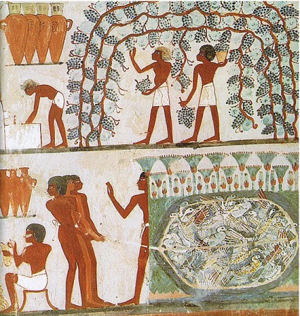 Uprawa winorośli, produkcja wina i handel nim na egipskim obrazie datowanym na 1500 p.n.e.