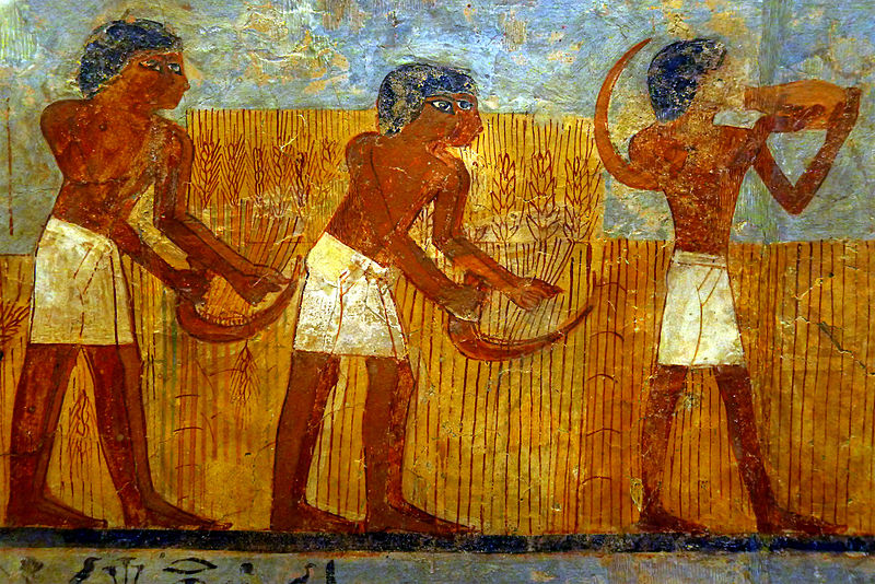 Malowidło z grobowca egipskiego jest datowane na czasy panowania Totmesa III (1450p.n.e.) Więcej o nim przeczytacie na stronie Luvru tu na licencji Creative Commons